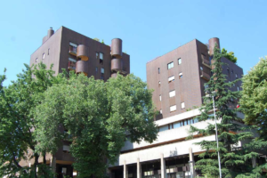 Salva klinker Salvaklinker MONZA corso Milano, consolidamento statico condominio progettato dall'arch. Luigi Caccia Domignoni